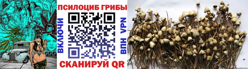 цена наркотик  Кисловодск  Галлюциногенные грибы ЛСД 